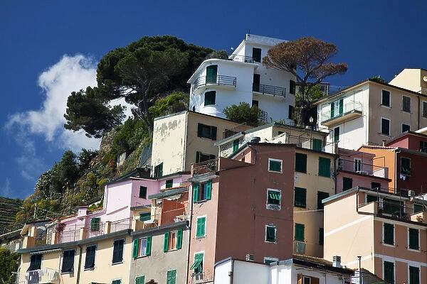 Europe; Italy; Cinque Terre; Manarola; Hillside Town Scene