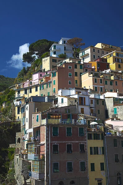 Europe; Italy; Cinque Terre; Manarola; Hillside Town Scene