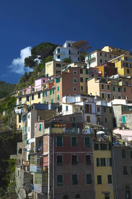 Framed Print : Europe; Italy; Cinque Terre; Manarola; Hillside Town Scene Framed Print : Europe; Italy; Cinque Terre; Manarola; Hillside Town Scene