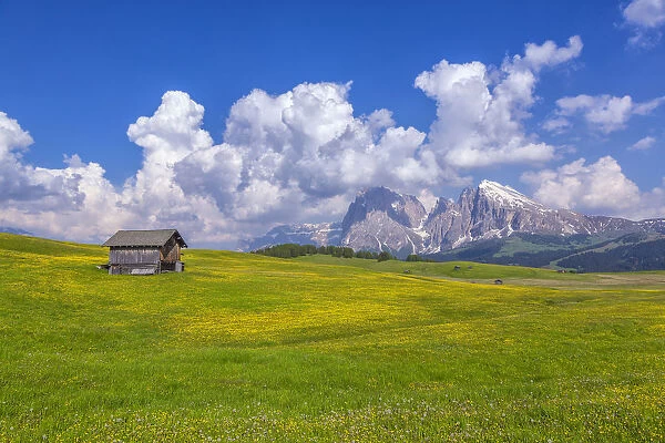 Europe, Italy, Dolomites, South Tyrol. Mountains and hut in meadow
