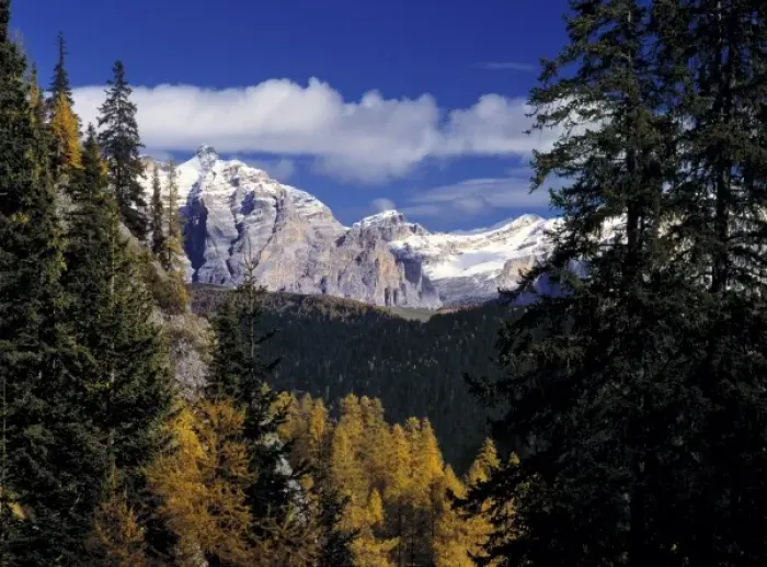 Framed Print : Europe, Italy, Gardena Pass. A sunny view toward Gardena Pass, in the Dolomite Alps, Italy