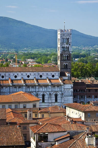 Europe; Italy; Lucca; The Lucca Cathedral Bell Tower Stands Tall in Te City Scene