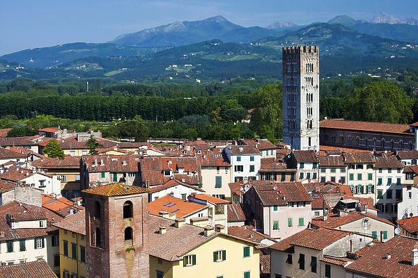 Europe; Italy; Lucca; The Tower San Frediano Stands above the roof tops