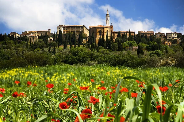Europe, Italy, Pienza. Poppies bloom below the hilltop village of Pienza. Credit as