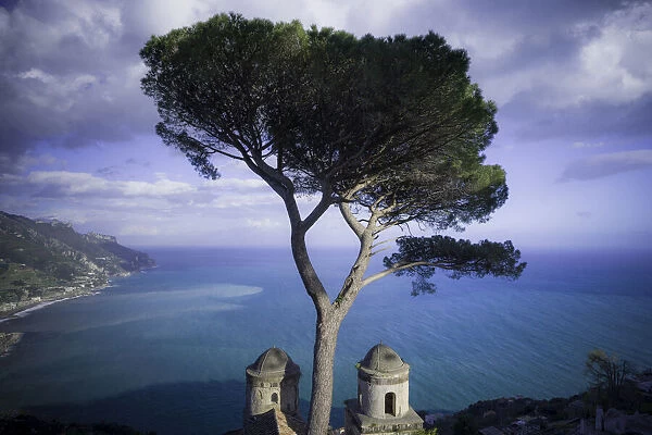 Europe, Italy, Ravello. Cypress tree and church domes overlook ocean