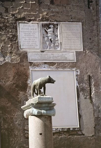 Europe, Italy, Rome. The Capitoline Wolf, with Romulus and Remus, on the Palatine