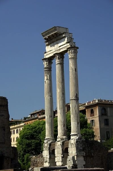 Europe, Italy, Rome. Roman Forum (aka Foro Romano), ruins of ancient Roman Empire
