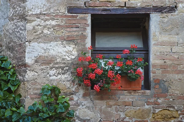 Europe, Italy, San Quirico d Orcia. Flowers in a window in a Tuscan village. Credit as