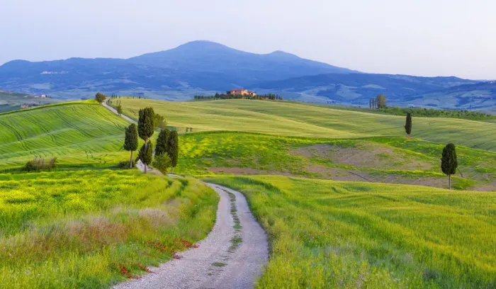 Framed Print : Europe, Italy, San Quirico d Orcia. Cypress trees and farmhouse in landscape Framed Print : Europe, Italy, San Quirico d Orcia. Cypress trees and farmhouse in landscape