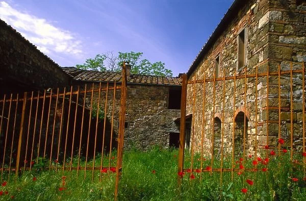 Europe, Italy, Tuscany, abandoned villa in vinyard