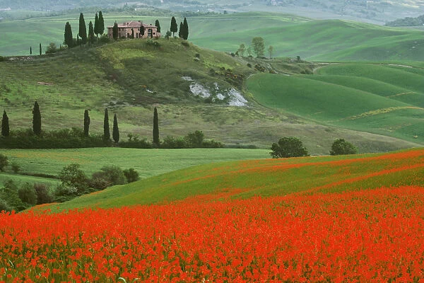 Europe, Italy, Tuscany. The Belvedere villa landmark and farmland