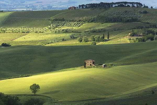 Europe, Italy, Tuscany. Dappled light spreads across rolling green hills of farmland