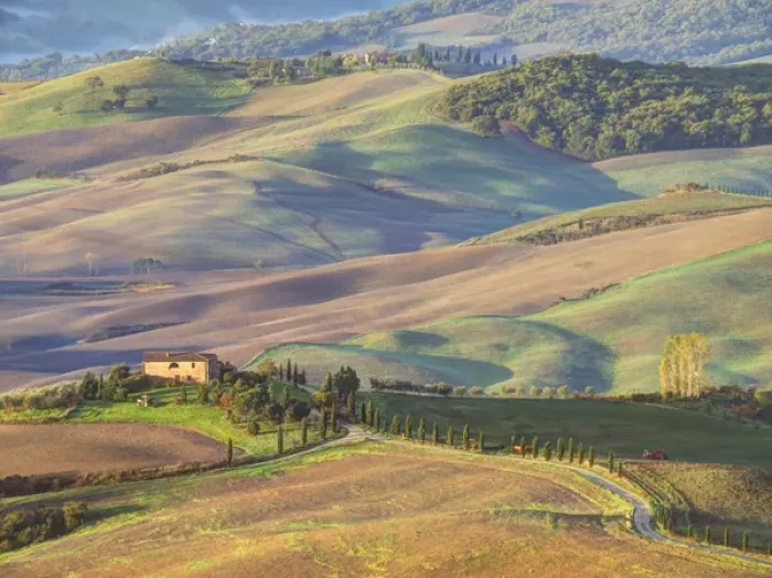 Framed Print : Europe, Italy, Tuscany. Evening light on a winding road leading to a villa near Framed Print : Europe, Italy, Tuscany. Evening light on a winding road leading to a villa near