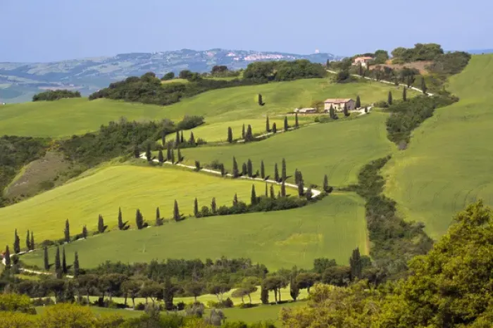 Framed Print : Europe; Italy; Tuscany; Famous Zig-Zag Road through the Hillside of Tuscany Framed Print : Europe; Italy; Tuscany; Famous Zig-Zag Road through the Hillside of Tuscany