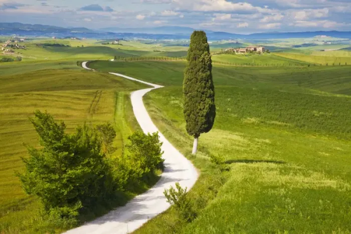 Framed Print : Europe; Italy; Tuscany; Icon Lone Tree and Winding Road