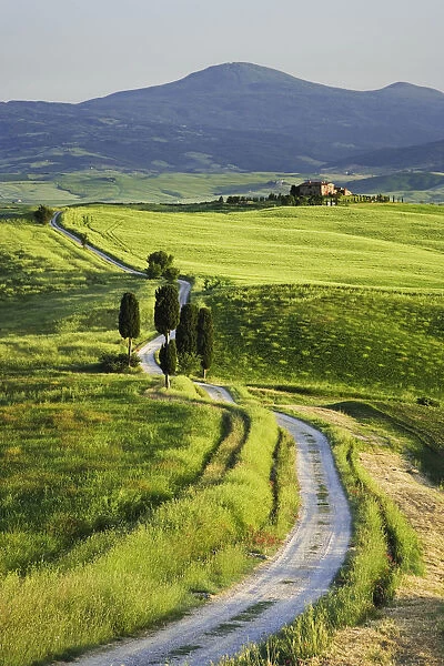 Europe, Italy, Tuscany. Landscape with villa
