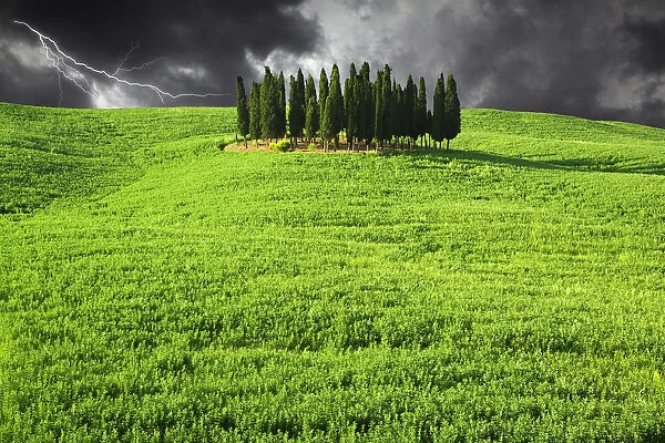 Europe, Italy, Tuscany. Lightning behind cypress trees on hill