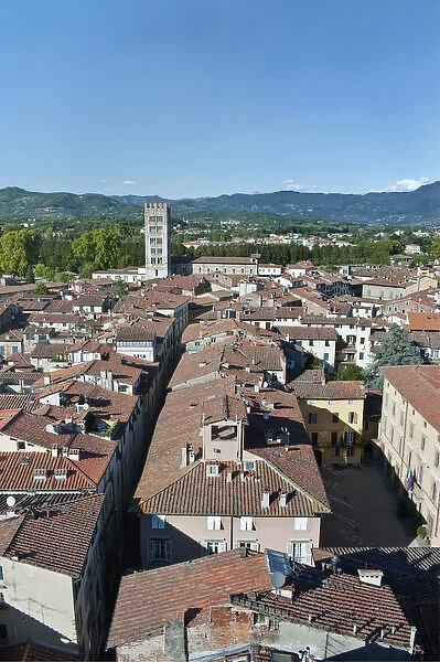 Europe, Italy, Tuscany, Lucca Town from the Clock Tower (Torre delle Ore)