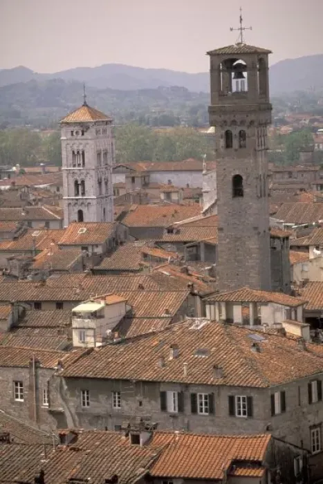 Framed Print : Europe, Italy, Tuscany, Lucca, Town panorama from tower; Casa dei Guinigi; Lucca rooftops