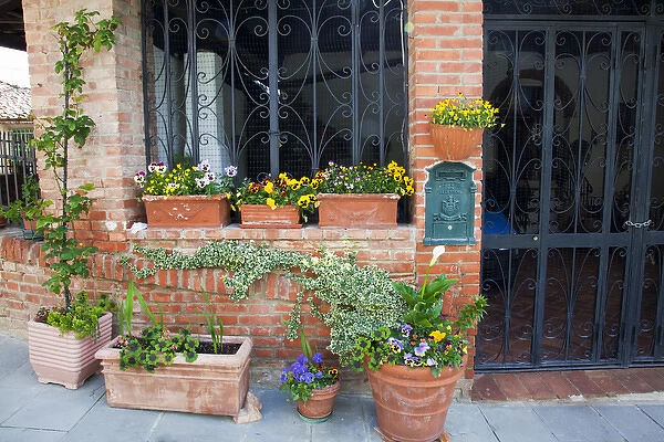 Europe; Italy; Tuscany: Lucignano; Street Scene With Flower Boxes in Lucignano