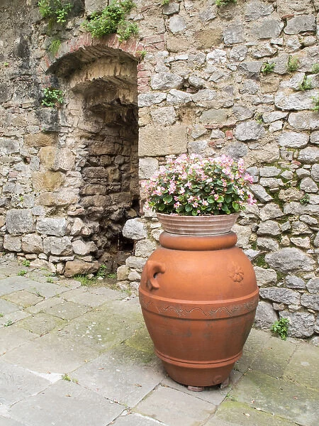 Europe, Italy, Tuscany, Montefollonico. Pot and flowers in the medieval town of