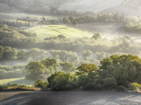 Europe; Italy; Tuscany; Morning light over the fields of Winter Wheat above the Tuscan