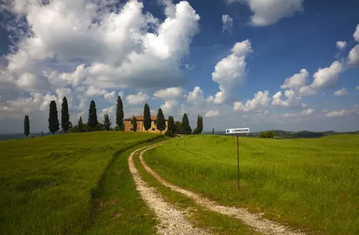 Framed Print : Europe; Italy; Tuscany; Pienza; Road Leading to Villa with Wheat Fields