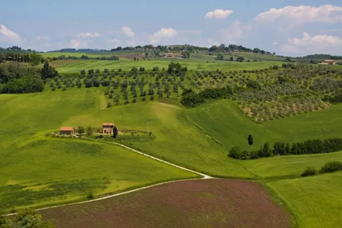 Framed Print : Europe; Italy; Tuscany; Pienza; Villa with Olive Groves and Wheat Fields