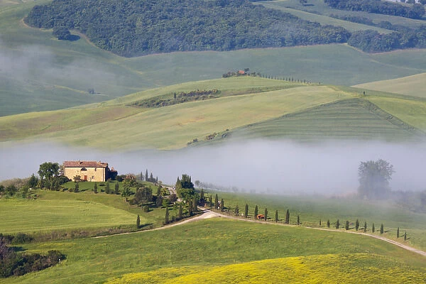 Europe; Italy; Tuscany; Pienza; Villa with Wheat and Canola Fields in Fog