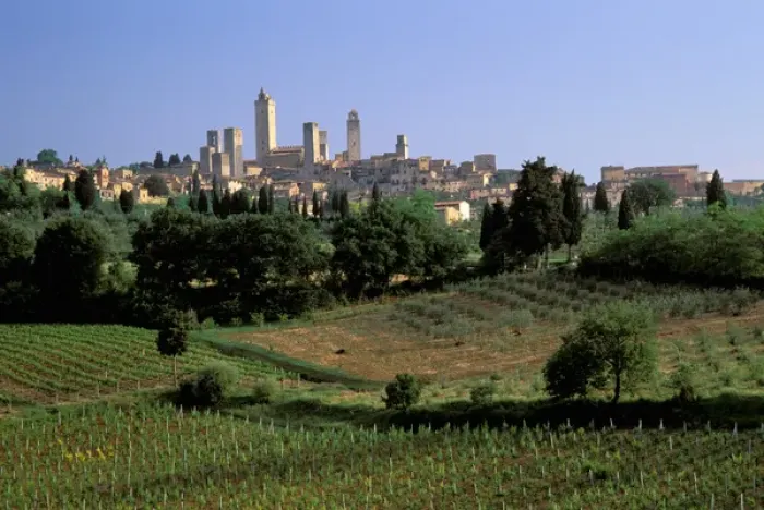 Framed Print : Europe, Italy, Tuscany, San Gimignano. Vineyards Framed Print : Europe, Italy, Tuscany, San Gimignano. Vineyards