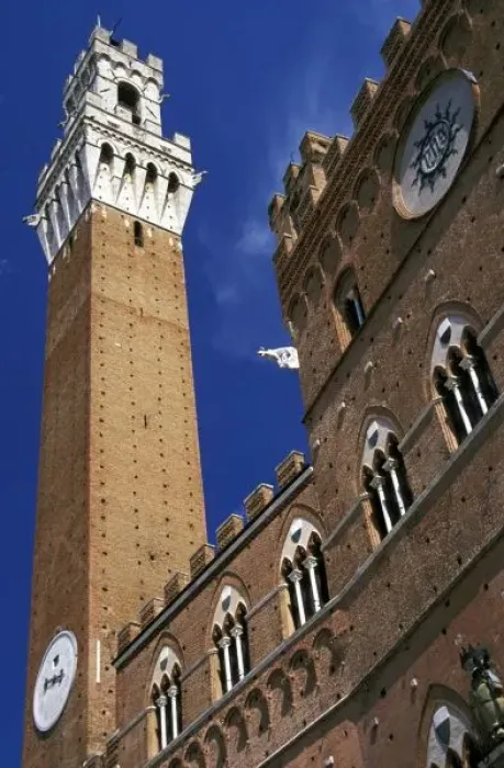 Framed Print : Europe, Italy, Tuscany, Siena. Torre del Mangia in Piazza del Campo Framed Print : Europe, Italy, Tuscany, Siena. Torre del Mangia in Piazza del Campo