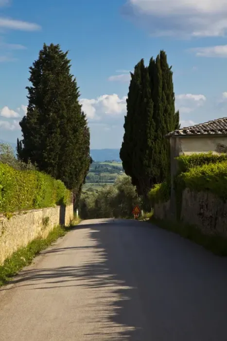 Framed Print : Europe; Italy; Tuscany; Tuscan Backroad through Cypress Trees