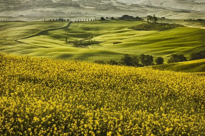 Framed Print : Europe, Italy, Tuscany, Val d Orcia