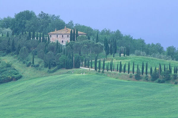 Europe, Italy, Tuscany. Villa on tree lined hillside in Tuscany