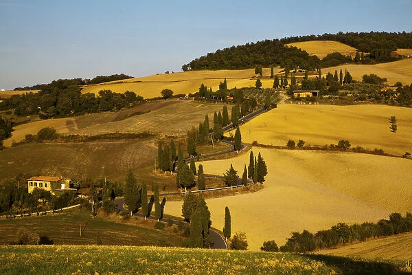 Europe; Italy; Tuscany; Zig Zag Road Through The Harvest Fields of Tuscany