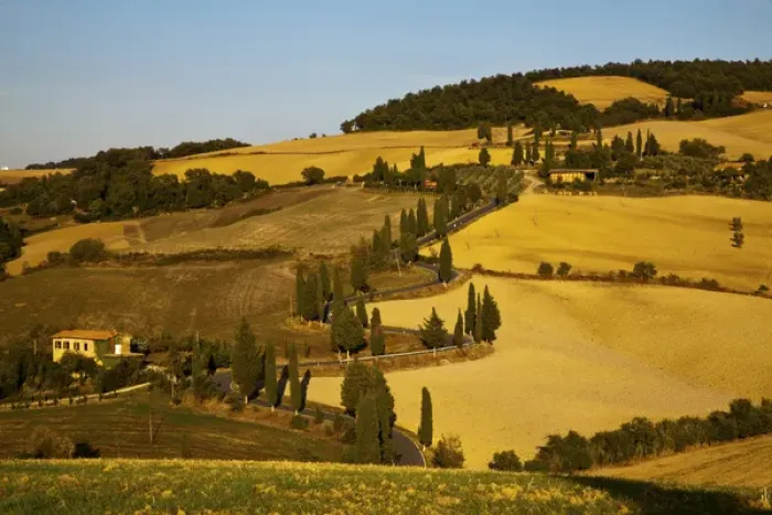 Framed Print : Europe; Italy; Tuscany; Zig Zag Road Through The Harvest Fields of Tuscany