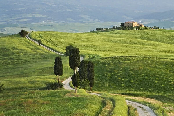 Europe, Italy, Val d Orcia. Dirt road to villa