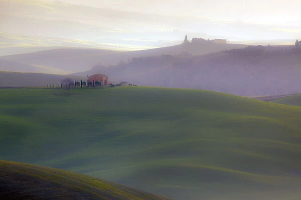 Europe, Italy, Val d Orcia. Sunrise over misty valley