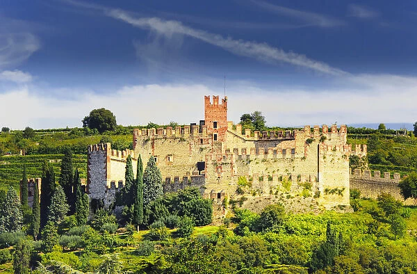 Europe, Italy, Venato, Soave. The Soave commune produces a dry white wine from the