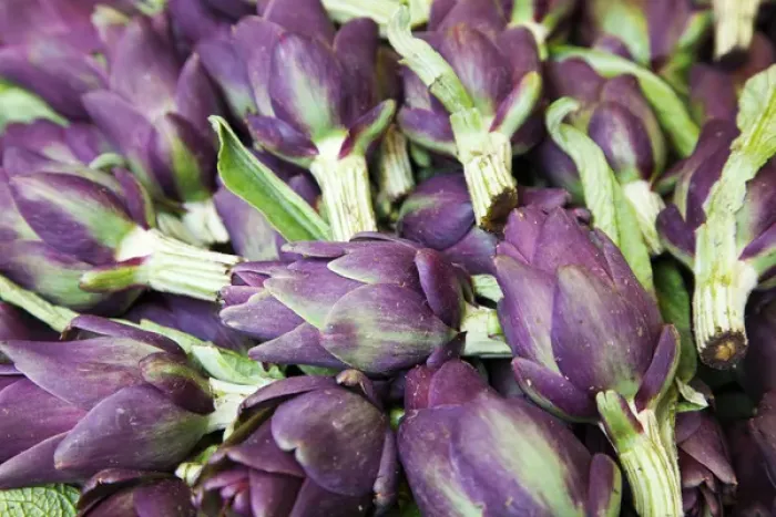 Framed Print : Europe; Italy; Venice; Artichokes in Mass At Venice Farmers Market Framed Print : Europe; Italy; Venice; Artichokes in Mass At Venice Farmers Market