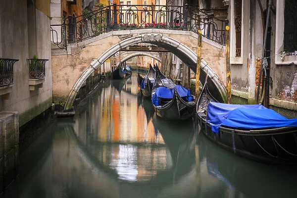 Europe, Italy, Venice. Canal with gondolas and bridges