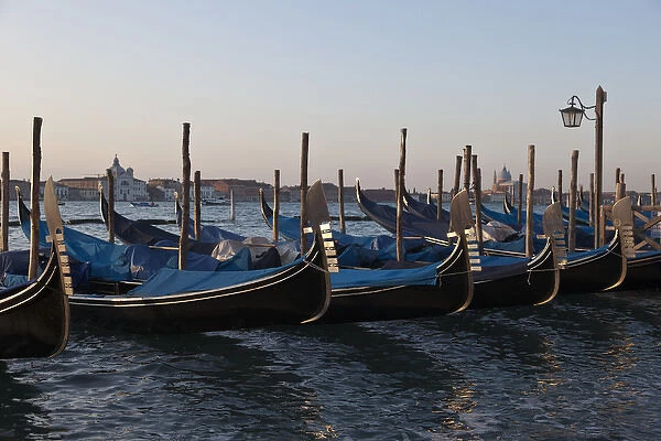 Europe, Italy, Venice. Close-up of moored gondolas