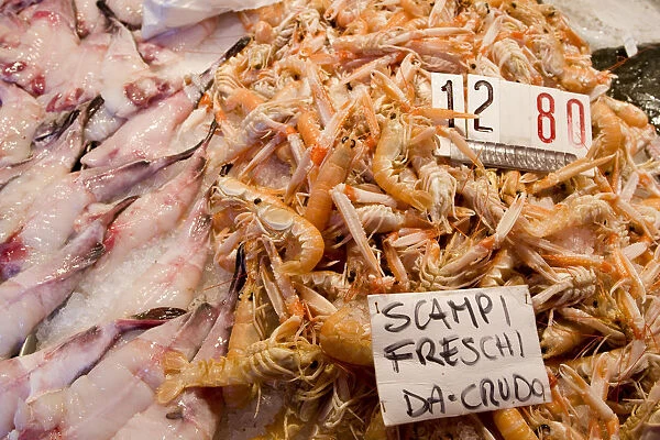 Europe, Italy, Venice. Fresh scampi and other fish for sale in a market. Credit as