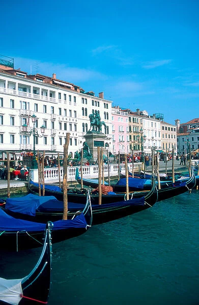 Europe, Italy, Venice. Goldolas lined up near Piazza San Marco
