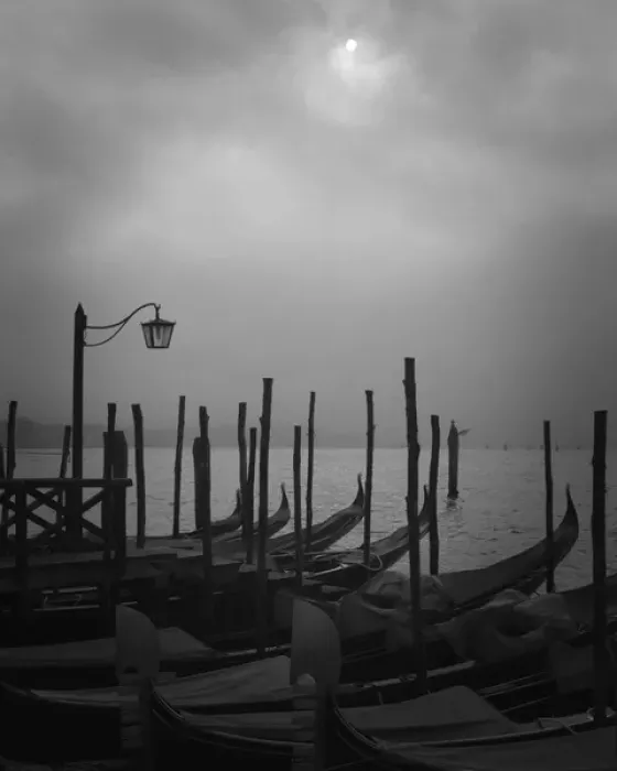 Framed Print : Europe, Italy, Venice. Moored gondolas and fog Framed Print : Europe, Italy, Venice. Moored gondolas and fog