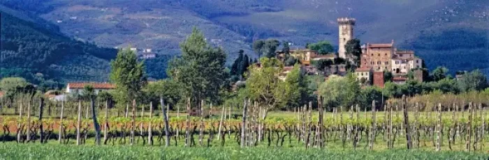 Framed Print : Europe, Italy, Vicopisano. A small vineyard grows below the Tuscan village of Vicopisano