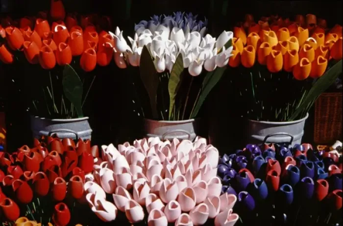 Framed Print : Europe, The Netherlands (aka Holland), Amsterdam. Wooden tulips for sale