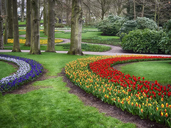 Europe; Netherlands; Flower Displays at keukenhof gardens