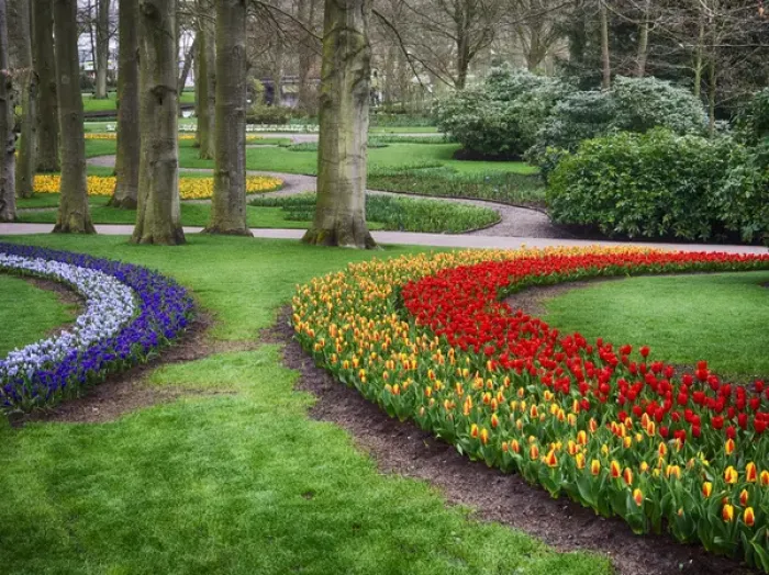 Framed Print : Europe; Netherlands; Flower Displays at keukenhof gardens Framed Print : Europe; Netherlands; Flower Displays at keukenhof gardens