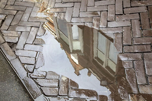 Europe, Netherlands, The Hague. Buildings reflected in sidewalk rain puddle